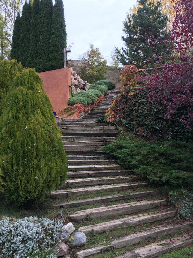 فيلا Casa El Moli De Bor A Cerdanya المظهر الخارجي الصورة